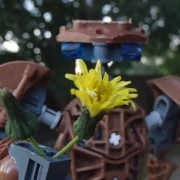 A brown Bionicle observing a budding dandelion in its hand.