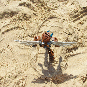 Top-down view of a brown Bionicle with robotic wings walking on the beach in the middle of a human flip-flop footprint.