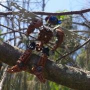 Low angle shot of a brown Bionicle with robotic wings on its back sits on a branch amongst pine trees.
